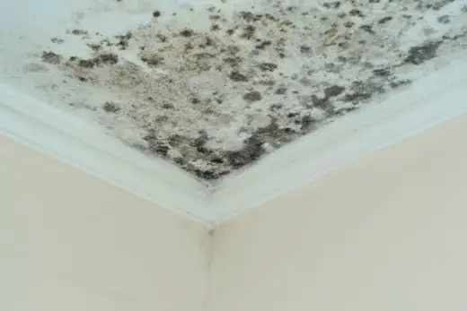 70 % d’humidité dans la maison - que faire ?